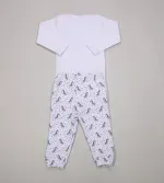 Conjunto