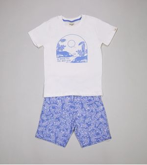 Conjunto Folhas - 29214