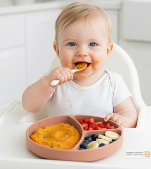 Prato em Silicone com Divisória e Ventosa Rosa Twibex