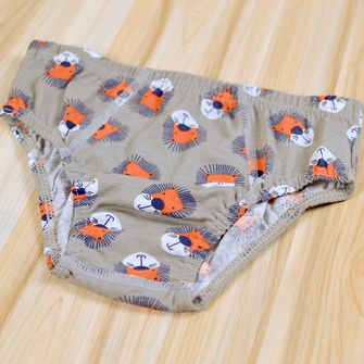 Kit Cueca Leão com 3 Unidades - 6108 De 0 a 10 anos