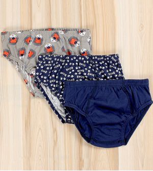 Kit Cueca Leão com 3 Unidades - 6108 De 0 a 10 anos