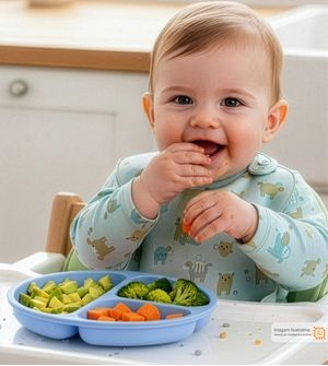 Prato em Silicone com Divisória e Ventosa Azul Twibex