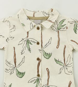 Conjunto Coqueiros