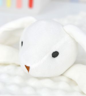 Minha Primeira Naninha Coelhinho