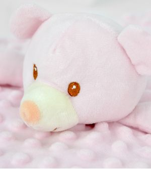 Minha Primeira Naninha Ursinho