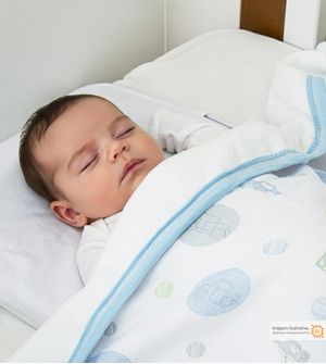 Cobertor Microfibra Com Soft Estampado 110 x 85 cm