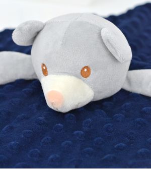 Minha Primeira Naninha Ursinho