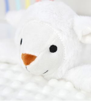 Minha Primeira Naninha Ovelhinha