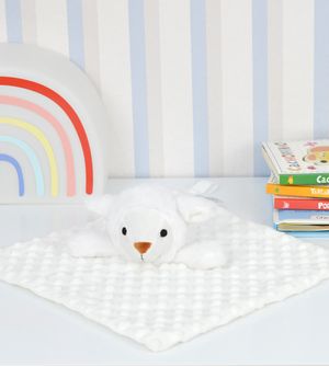 Minha Primeira Naninha Ovelhinha