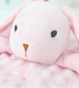 Minha Primeira Naninha Coelhinho