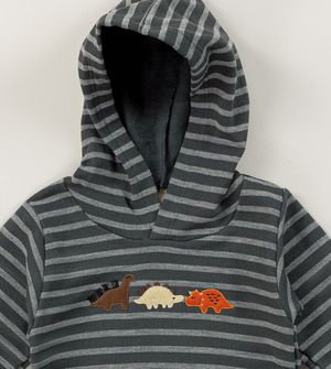 Conjunto Moletom com Capuz Dinos