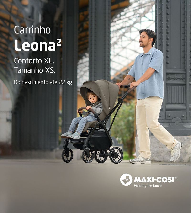Carrinho