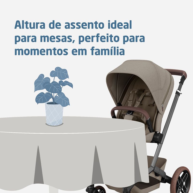 Carrinho