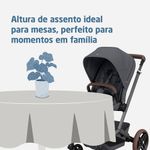 Carrinho