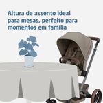 Carrinho