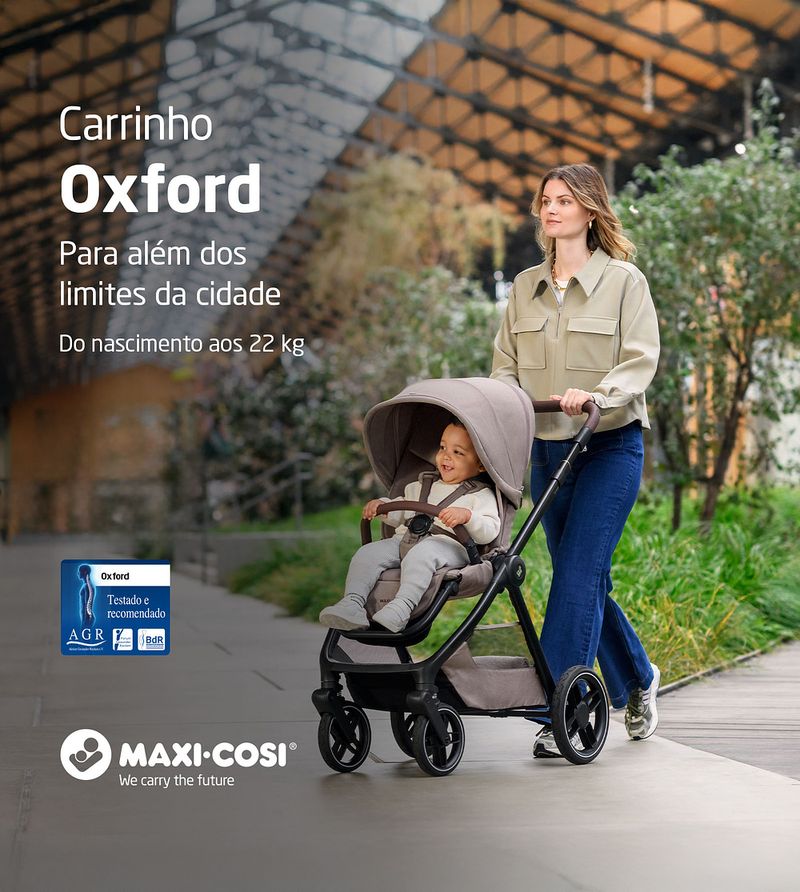 Carrinho