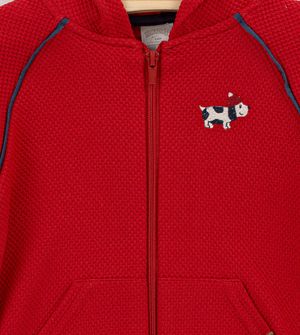 Conjunto Doguinho
