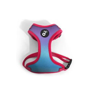 Peitoral Flow Mesh Mimo Roxo/Azul - G