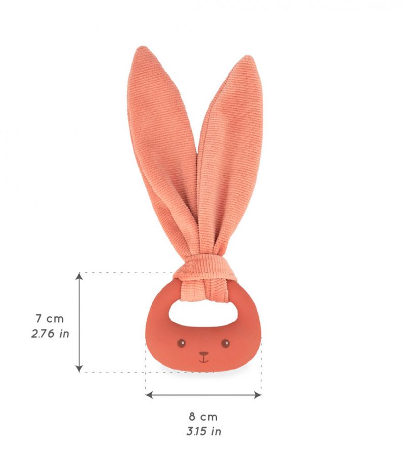 Mordedor