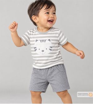 Conjunto Tigrinho Cinza
