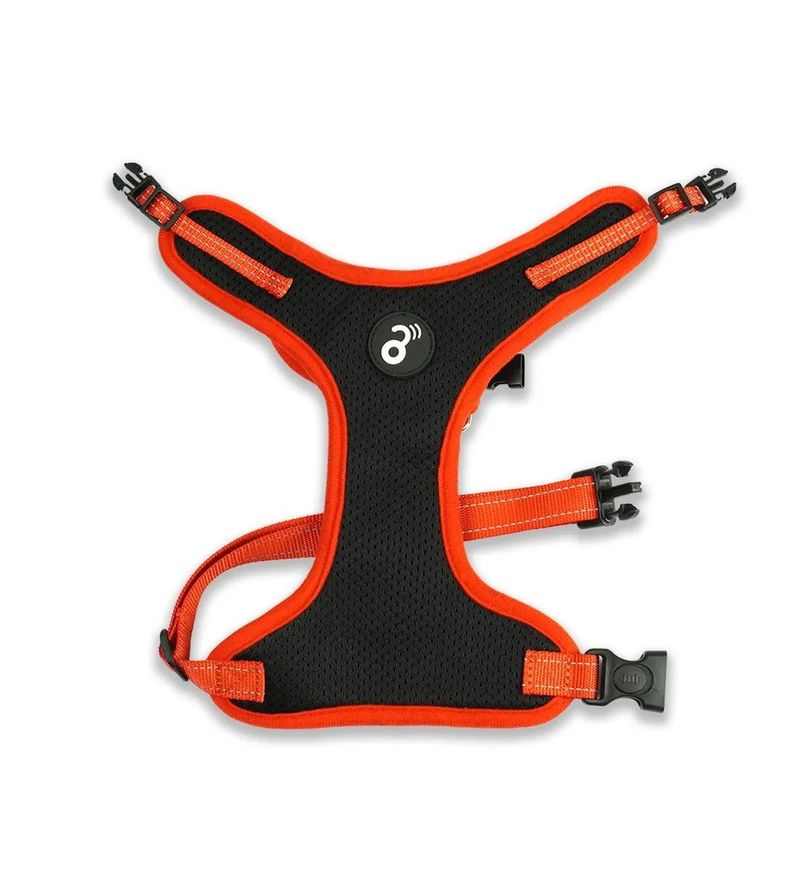 Peitoral