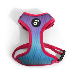 Peitoral Flow Mesh Mimo Roxo/Azul - P