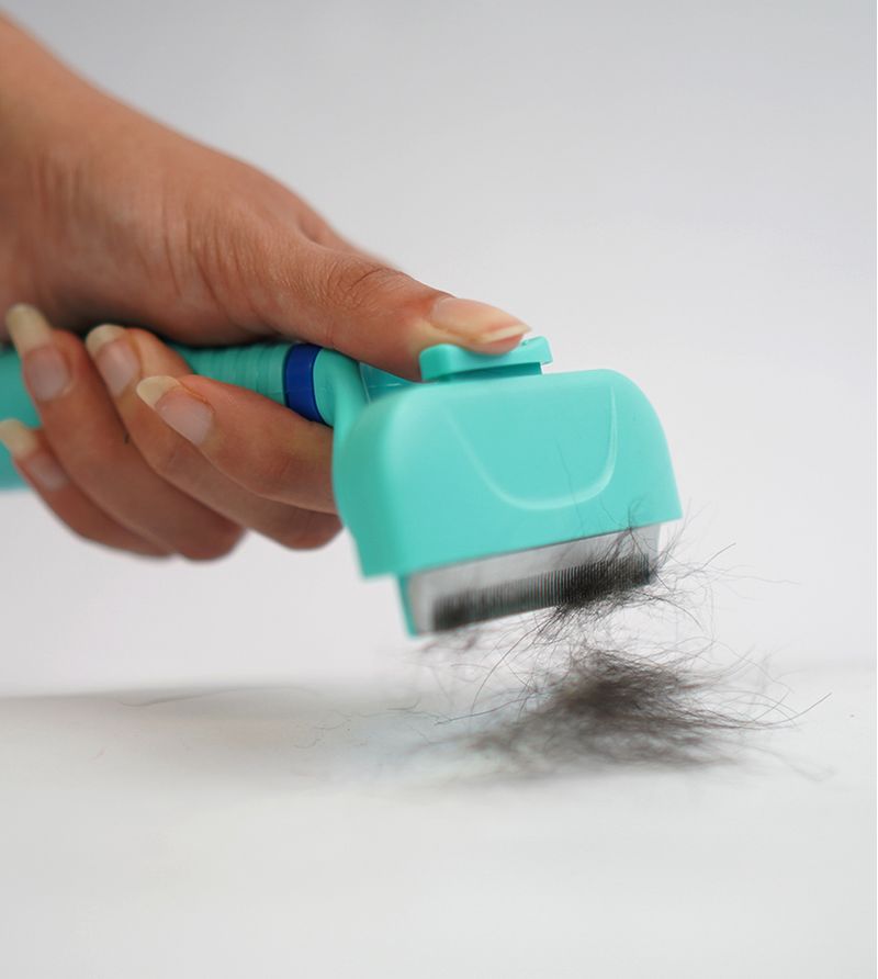 Escovinha-Tira-Pelos-Blue-Pequeno